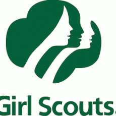 Collective Wisdom: Our Girl Scouts Client Story